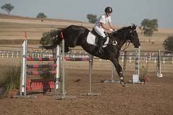 2* Show Jumping